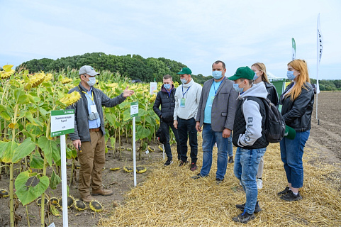 Corteva поделилась результатами полевых опытов с тысячей  российских аграриев 